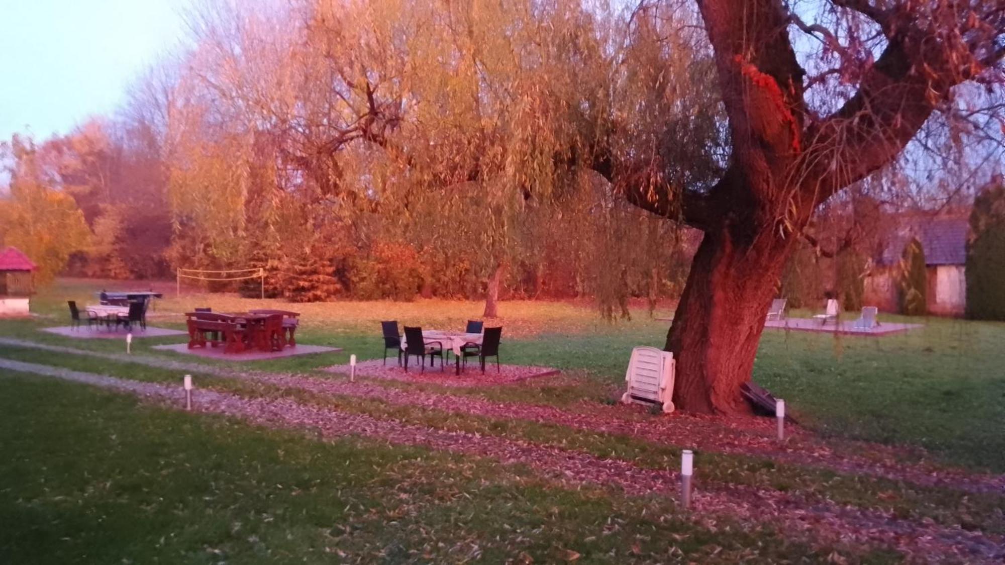 Almafas Vendeghaz Orseg Villa Kerkakutas Exterior foto