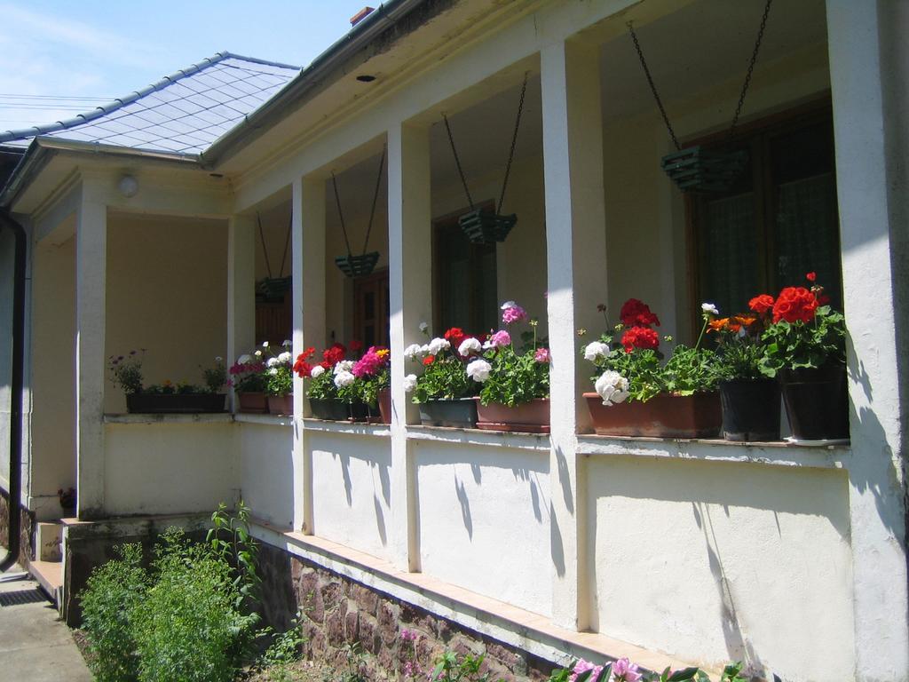 Almafas Vendeghaz Orseg Villa Kerkakutas Exterior foto